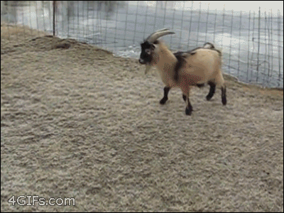 Super gif