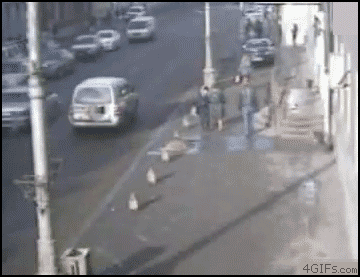 Super gif