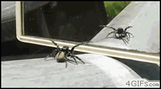 Super gif