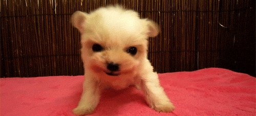 Super gif