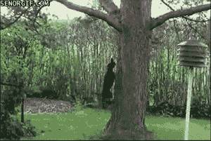 Super gif