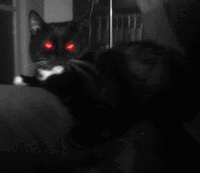 Super gif