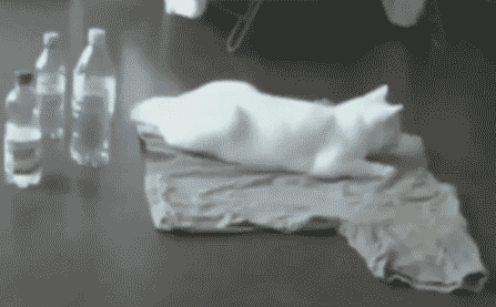 Super gif