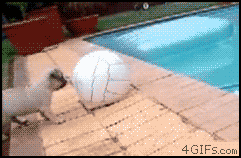 Super gif