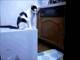 Super gif