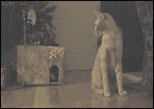 Super gif