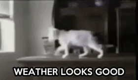 Super gif