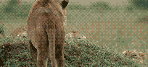 Super gif