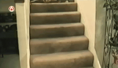 Super gif