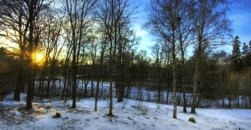 Super gif