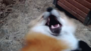 Super gif