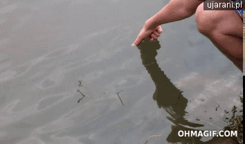 Super gif