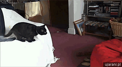 Super gif