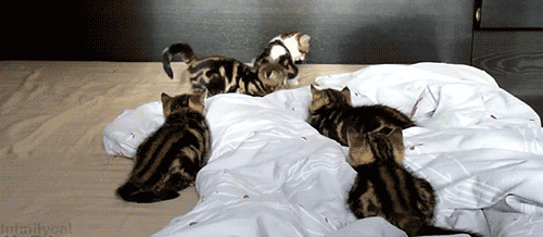 Super gif
