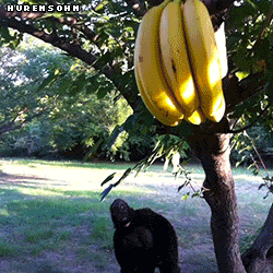 Super gif