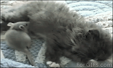 Super gif