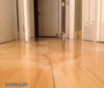 Super gif