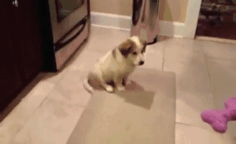 Super gif