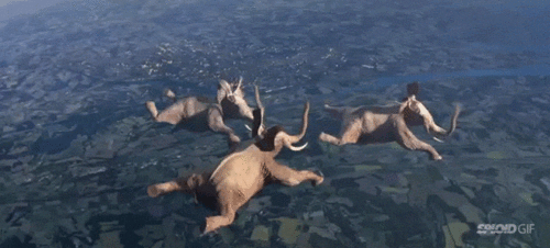 Super gif