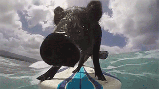 Super gif