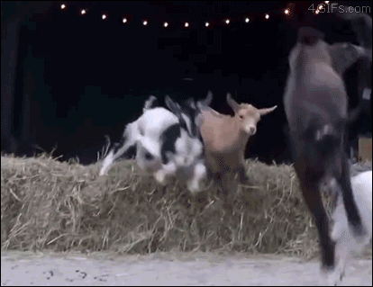 Super gif