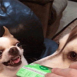 Super gif