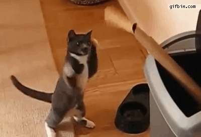 Super gif