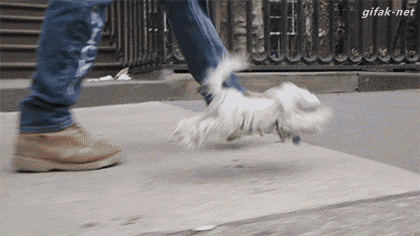Super gif