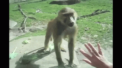 Super gif