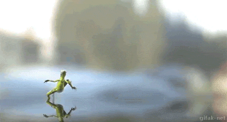 Super gif