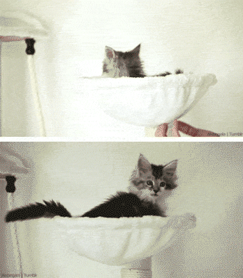 Super gif