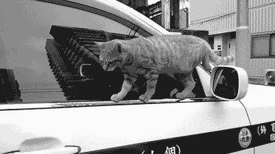 Super gif