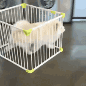 Super gif