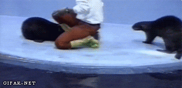 Super gif