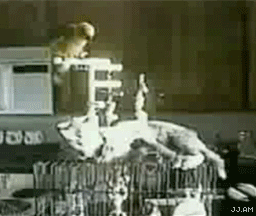 Super gif