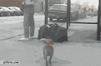 Super gif