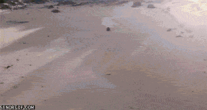 Super gif
